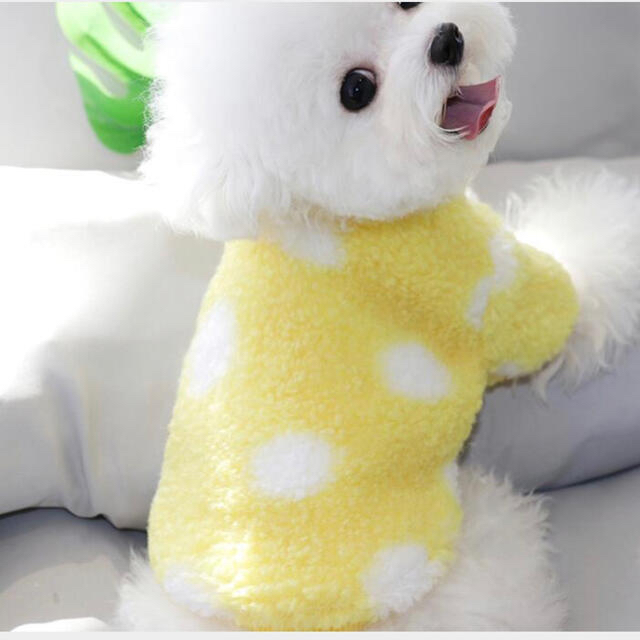 犬服犬の服ペットもこもこフリース水玉可愛い小型犬チワワプードル その他のペット用品(犬)の商品写真