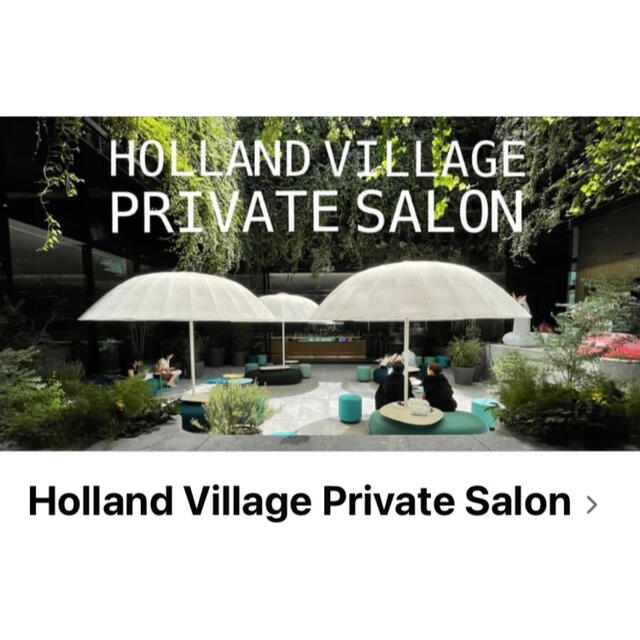 Holland Village Online Salon チケットのチケット その他(その他)の商品写真