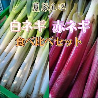 超貴重！ 茨城県産 白ネギ赤ネギ食べ比べセット 紅白ネギ 5キロ(野菜)