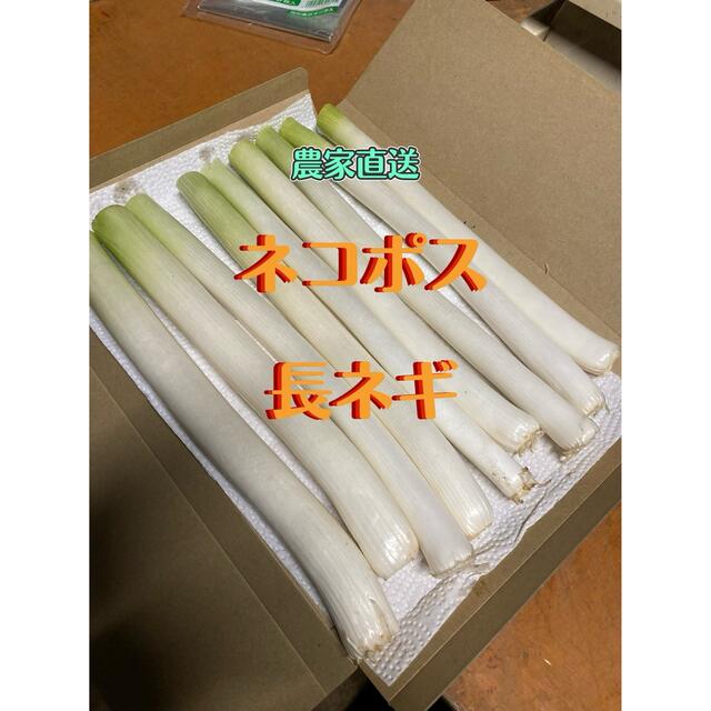 長ネギ  白ネギ カットネギ ネコポス便 食品/飲料/酒の食品(野菜)の商品写真