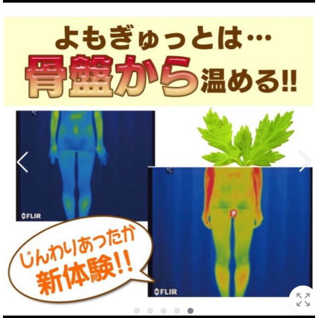 よもぎ蒸し よもぎゅっと コスメ/美容のダイエット(その他)の商品写真