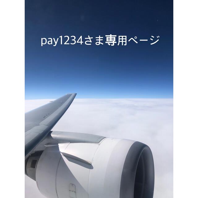 pay1234さま専用ページです