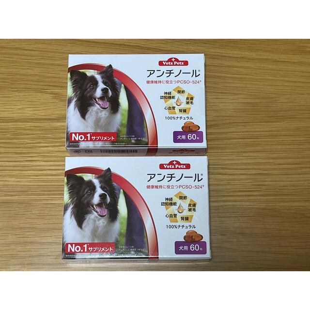 犬用アンチノール 60粒 2箱犬