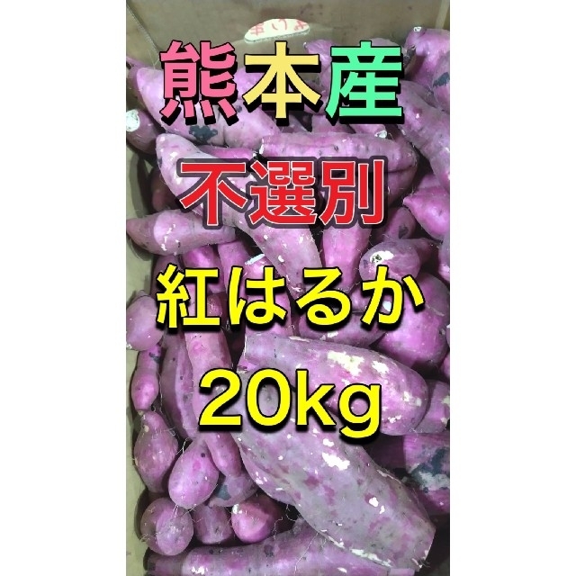 熊本産不選別紅はるか20kg 食品/飲料/酒の食品(野菜)の商品写真