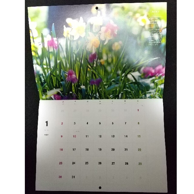 趣味の園芸 22カレンダーの通販 By 96usa S Shop ラクマ