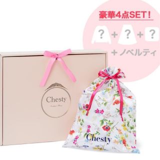 チェスティ(Chesty)のChesty  チェスティ　ハッピーボックス　今期　完売(その他)