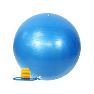 バランスボール 65cm 空気入 ポンプ 付 アンチバースト耐荷重300kg(トレーニング用品)