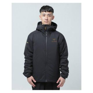 アークテリクス(ARC'TERYX)のArc'teryx atom ar hoodie beams別注(ダウンジャケット)