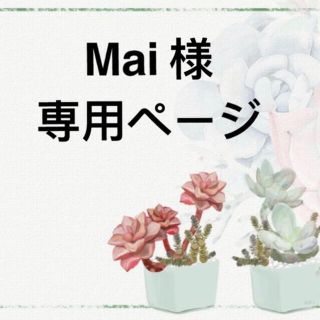 Mai 様　専用ページ(その他)