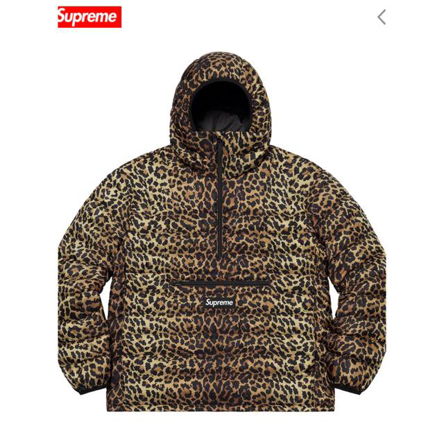 Supreme Micro Down Half Zip Hooded