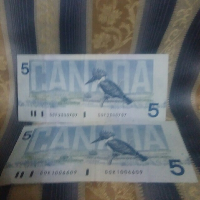 カナダドル紙幣  5ドル紙幣  二枚一組 エンタメ/ホビーの美術品/アンティーク(貨幣)の商品写真