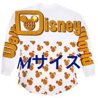 ディズニー DLR アナハイム スピリットジャージ ピクサー pixar