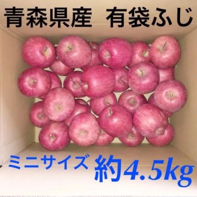 産地直送　有袋ふじ　青森県産　りんご　訳あり 食品/飲料/酒の食品(フルーツ)の商品写真