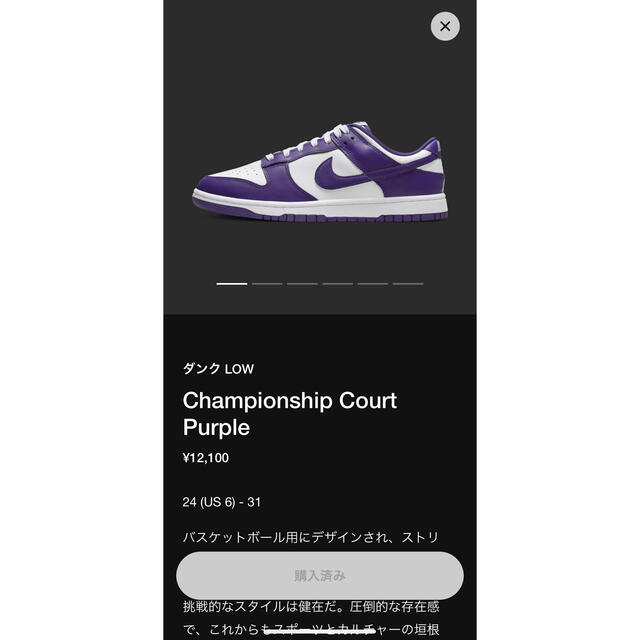 NIKE DUNK ダンク27.5cm Purple パープル 紫