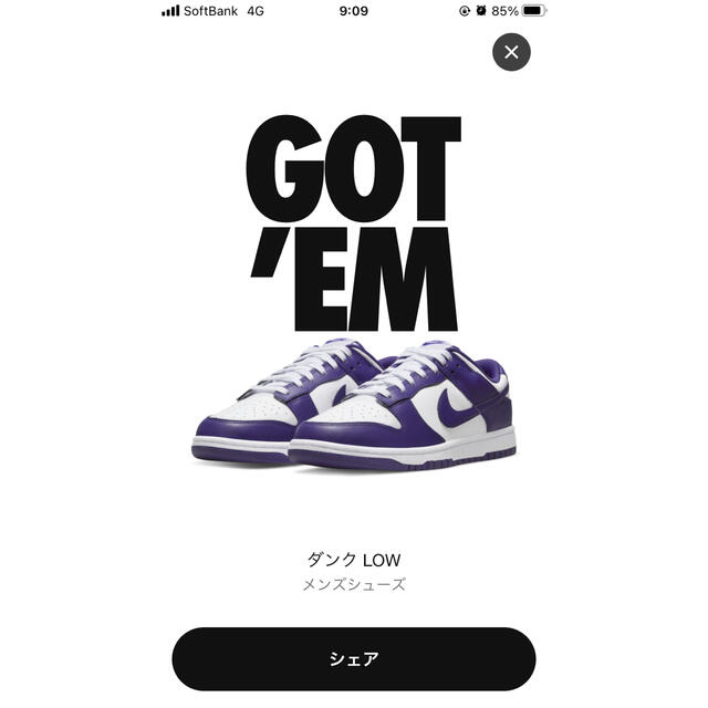 Nike Dunk Low Championship Court Purple