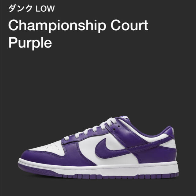 NIKE DUNK LOW Championship 28.0cm