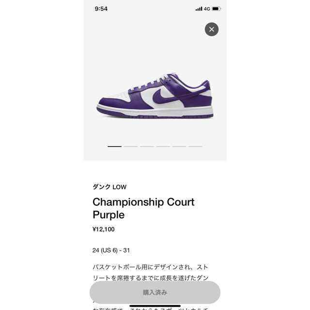Nike Dunk Low Retro Court Purple 27.5cm