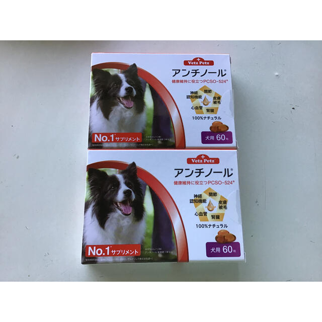 犬用アンチノール 60粒 2箱 - zimazw.org