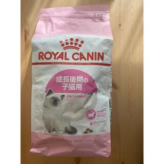 ロイヤルカナン(ROYAL CANIN)のロイヤルカナン 猫 キャットフード ドライ キトン　2kg(猫)