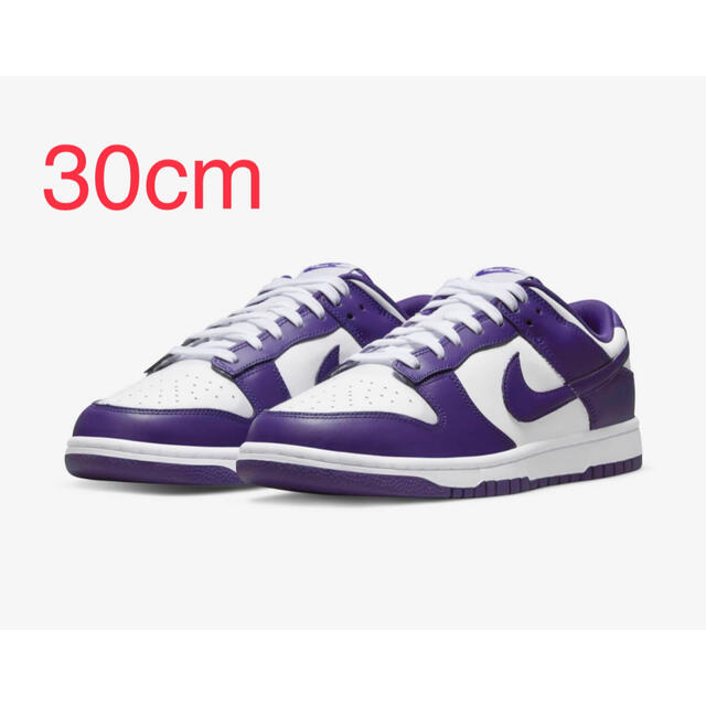 【希少サイズ】Nike Dunk Low