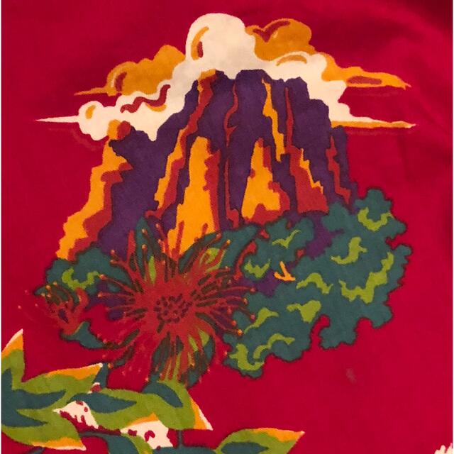 Patagonia pataloha パタゴニア パタロハ 2000年モデル