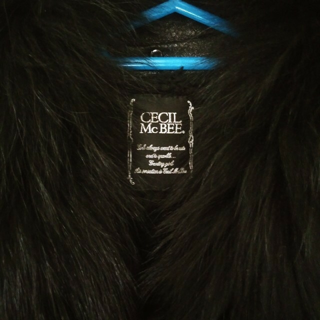 CECIL McBEE(セシルマクビー)のM～CECIL McBEE　ラクーンファー　ジャケット　コート レディースのジャケット/アウター(毛皮/ファーコート)の商品写真