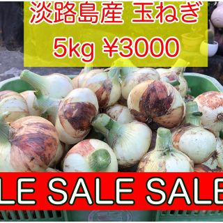 淡路島産 新玉ねぎ 5kg(野菜)