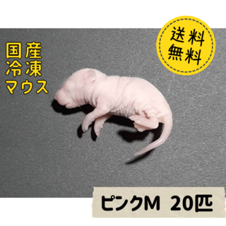 国産冷凍マウス ピンクＭ 20匹 　(ペットフード)