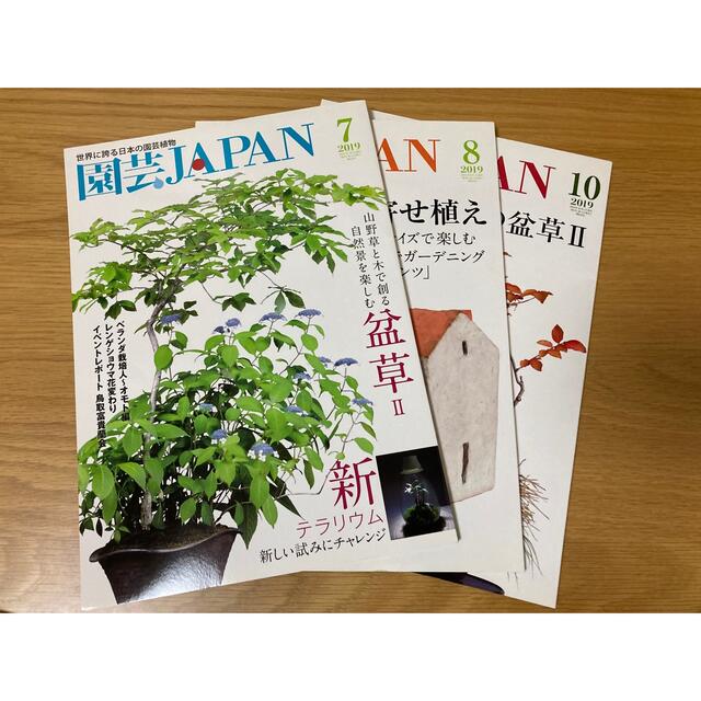 園芸　JAPAN  2019年 07月号3冊セット　ベランダ栽培人 富貴蘭会 エンタメ/ホビーの雑誌(その他)の商品写真