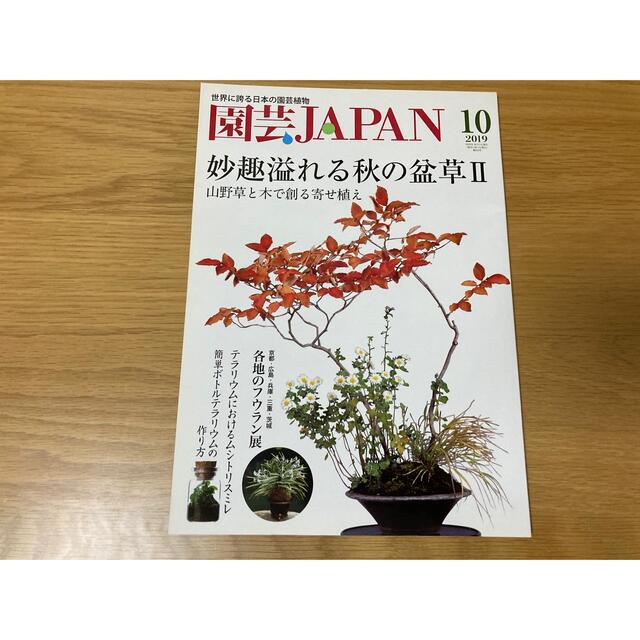 園芸　JAPAN  2019年 07月号3冊セット　ベランダ栽培人 富貴蘭会 エンタメ/ホビーの雑誌(その他)の商品写真