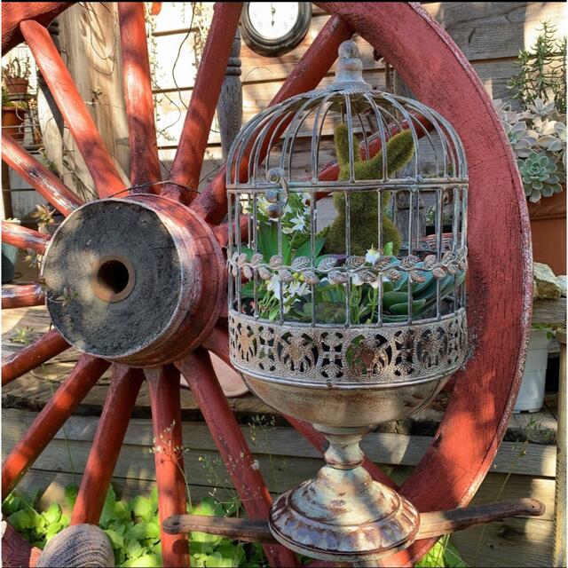 ガーデン雑貨/ガーデン オーナメント/bird cage