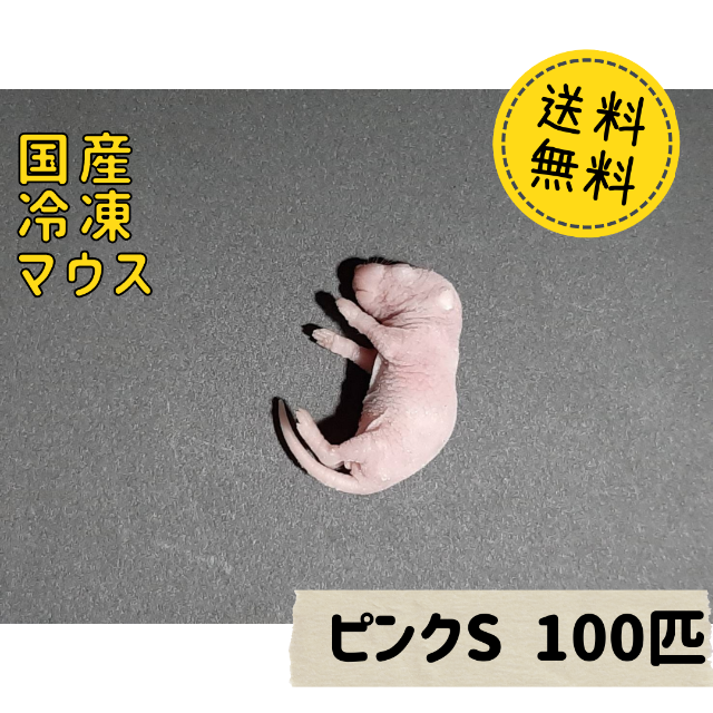 国産冷凍マウス ピンクS 100匹 　 その他のペット用品(ペットフード)の商品写真