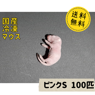 国産冷凍マウス ピンクS 100匹 　(ペットフード)