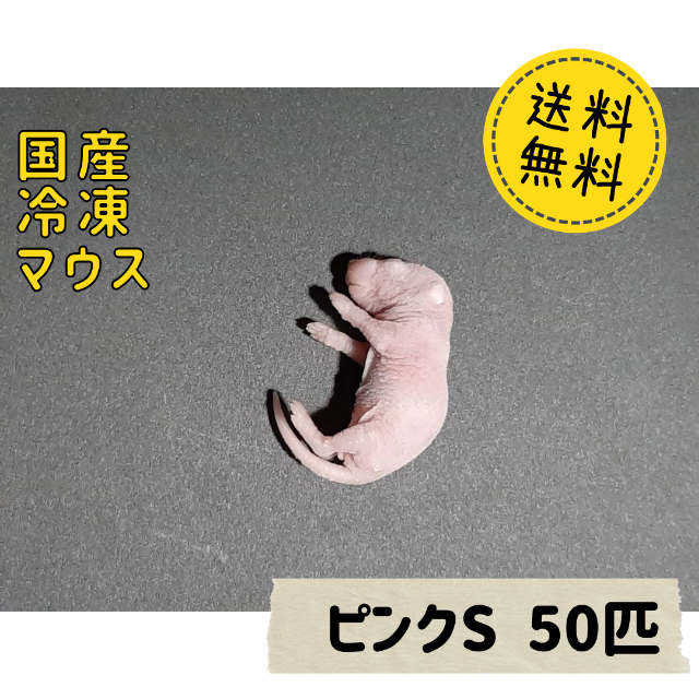 国産冷凍マウス ピンクS 50匹 　 その他のペット用品(ペットフード)の商品写真