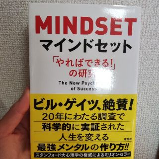 マインドセット 「やればできる！」の研究(その他)