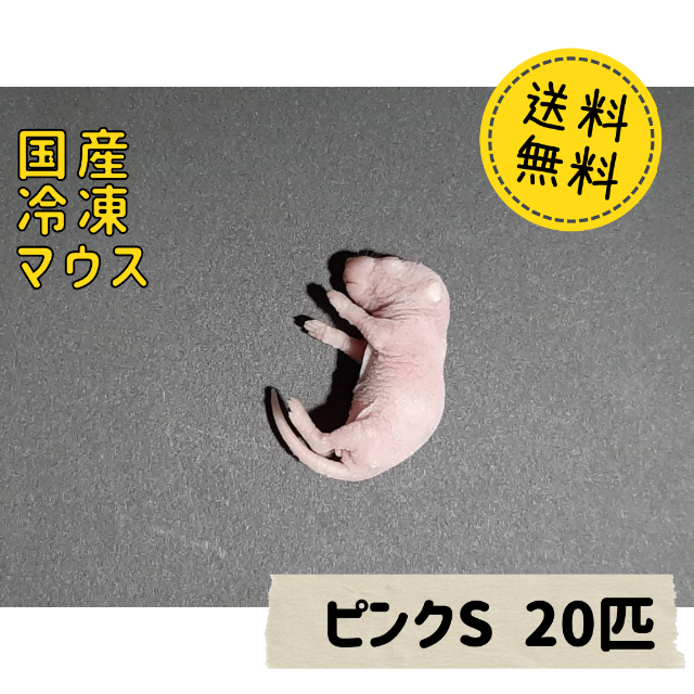 国産冷凍マウス ピンクS 20匹 　 その他のペット用品(ペットフード)の商品写真
