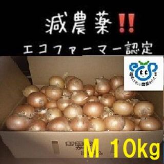 北海道産 玉ねぎ Mサイズ10kg(野菜)