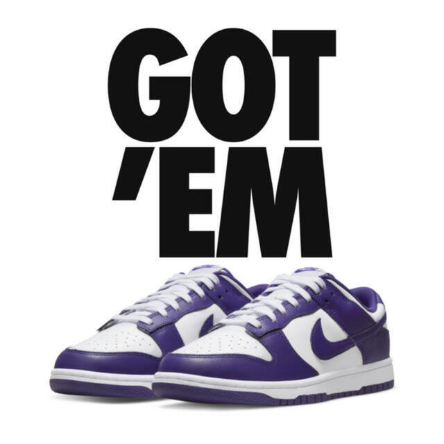 Nike Dunk Low Retro Court Purple 28.5cm