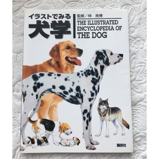 コウダンシャ(講談社)のイラストでみる犬学(科学/技術)