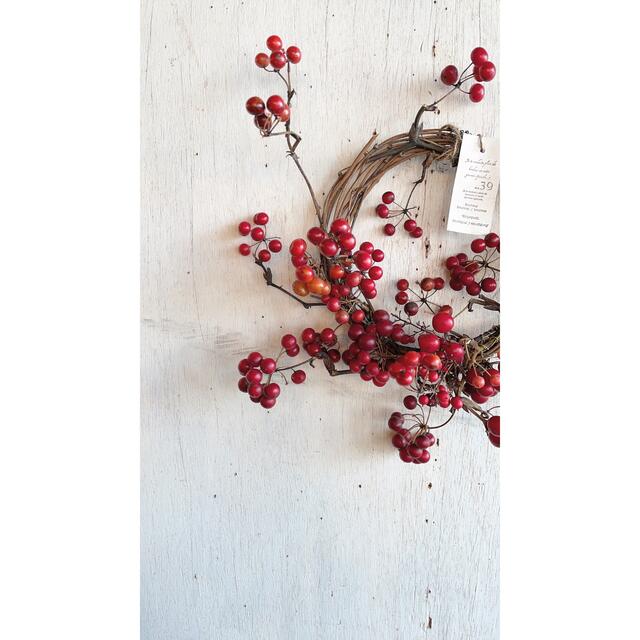 赤い実のリース〜サンキライのナチュラルリース○ドライフラワーリース  ハンドメイドのフラワー/ガーデン(リース)の商品写真