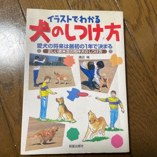 イラストでわかる犬のしつけ方 愛犬の将来は最初の１年で決まる(住まい/暮らし/子育て)