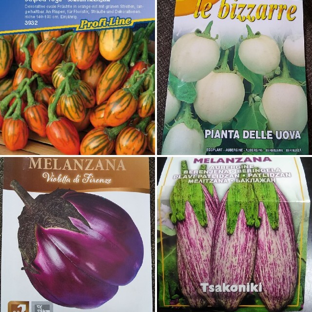 同梱割〉イタリア野菜の4種子 　トーゴナス、ゼブラナス、フィレンツェたまごナス ハンドメイドのフラワー/ガーデン(その他)の商品写真