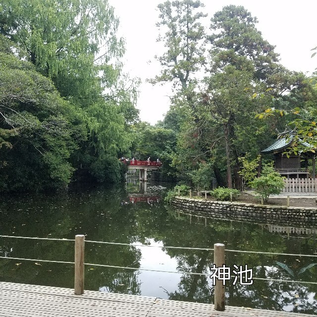 ローズクォーツ(紅水晶)丸玉4㎏原石パワーストーン【完全天然石 ... ローズクォーツ(紅水晶)丸玉4㎏原石パワーストーン【完全天然石】エネルギー覚醒済