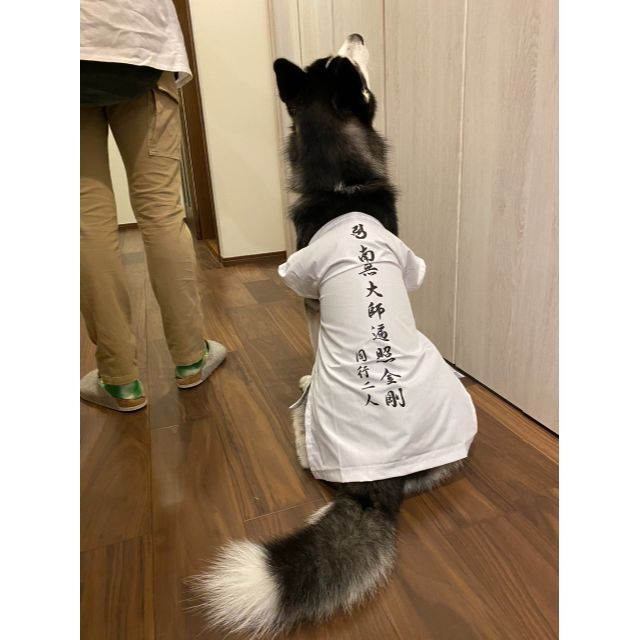 大型わんちゃん用お遍路白衣三点セット-