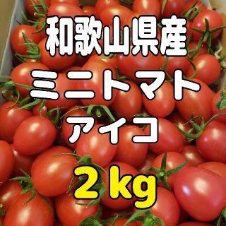 和歌山県産 ミニトマト アイコ 2kg(野菜)