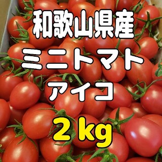 和歌山県産 ミニトマト アイコ 2kg(野菜)