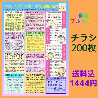 【両面】ワク○ン啓発チラシ  200枚(印刷物)