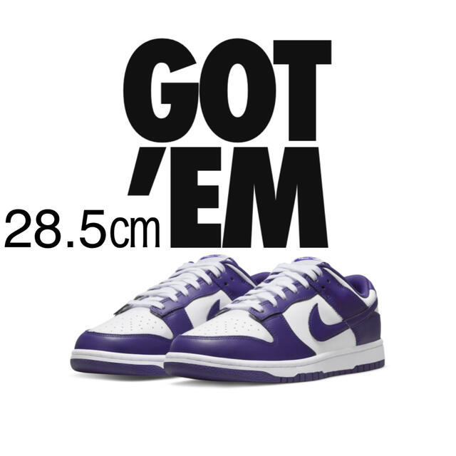 28.5㎝ Dunk Low Championship Court Purple