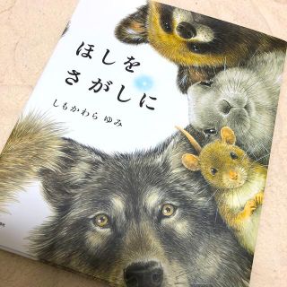 絵本 ほしをさがしに 中身書き込みなし(絵本/児童書)