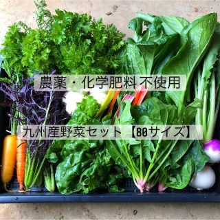 九州産　無農薬野菜セット【80サイズ】(野菜)